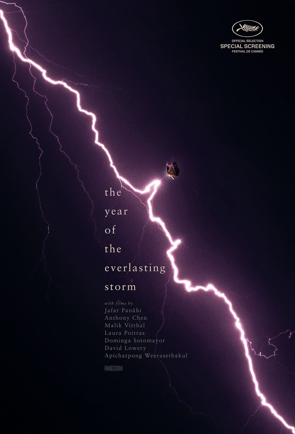 Poster The Year of the Everlasting Storm