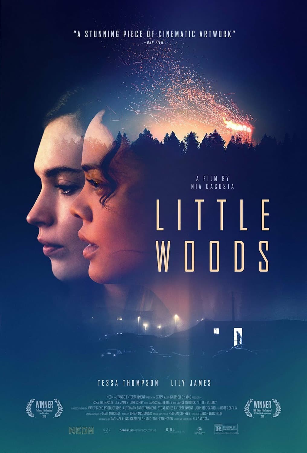 Poster Little Woods