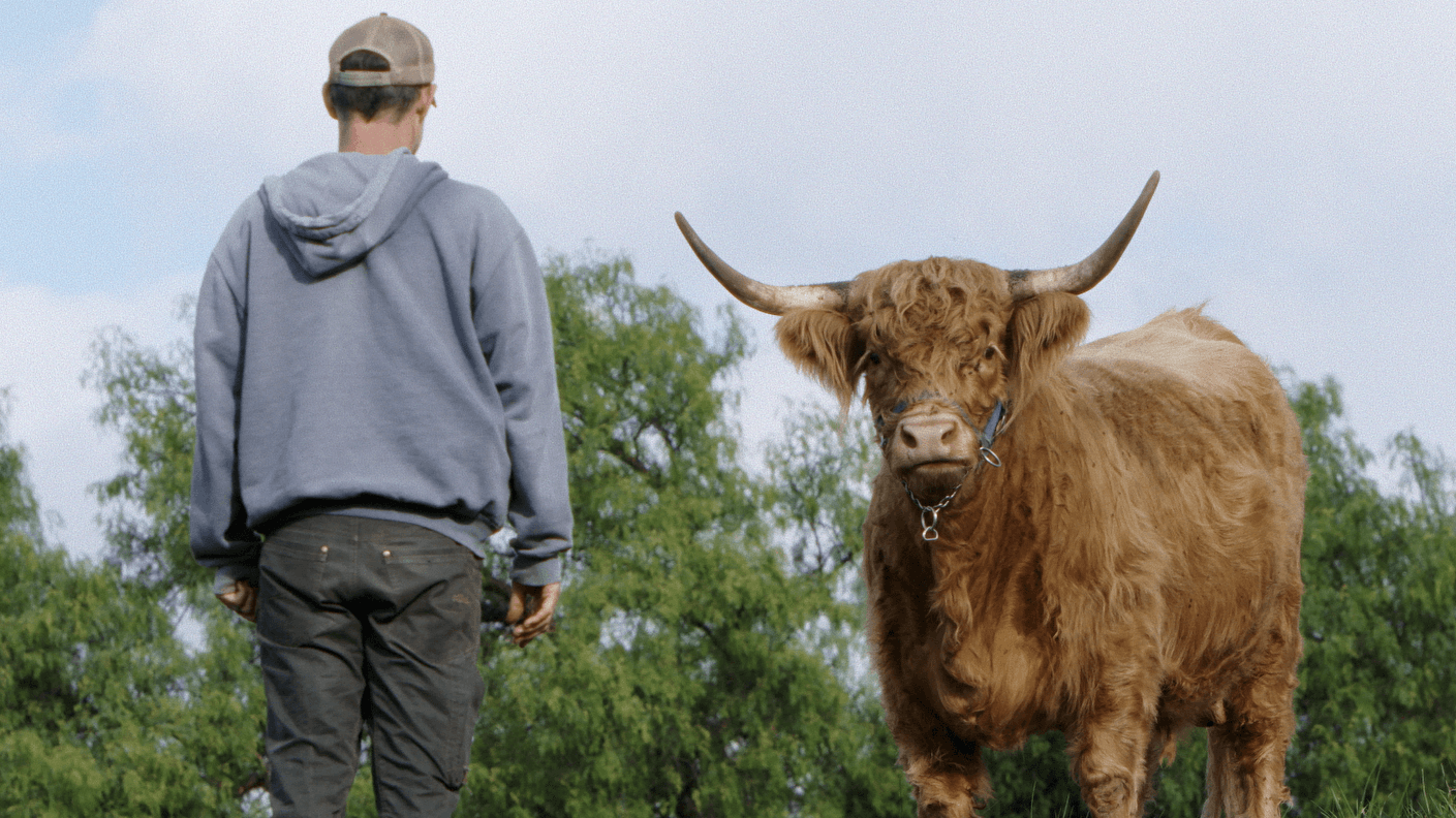 “Like fresh air for the soul”